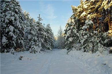 将有新作？樱井政博与HAL老同事进行线上会议